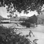 Paris Mill