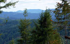 Roman Nose