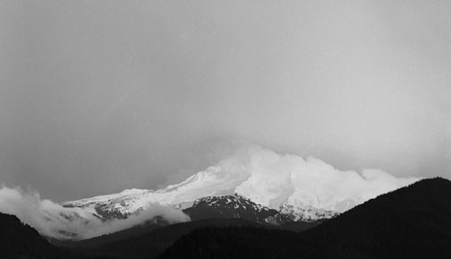 Mt. Hood