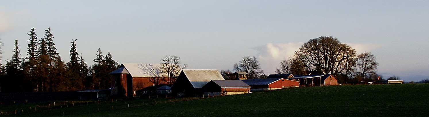 Red farm buildings
