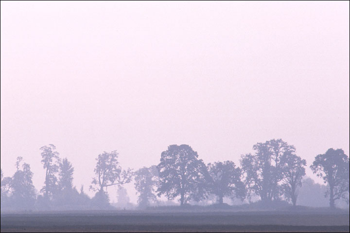 Sauvie Island photo