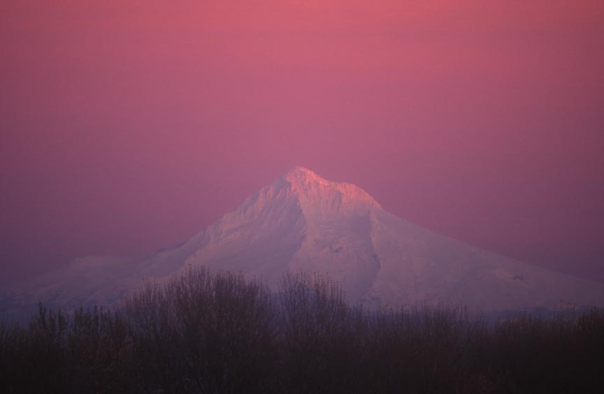 mt hood