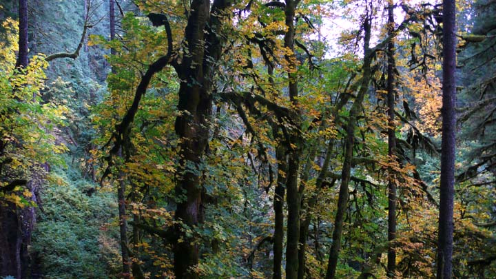L1080097