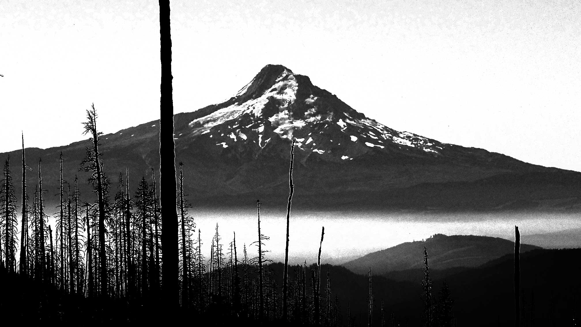 Mt.Hood from Mt Adams