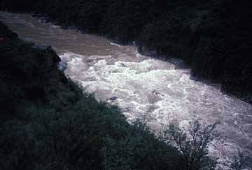 five day rapid