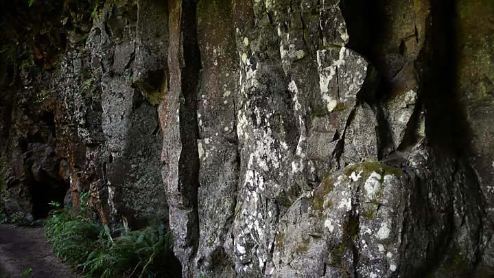 Basalt wall photo, Silver Falls State Park