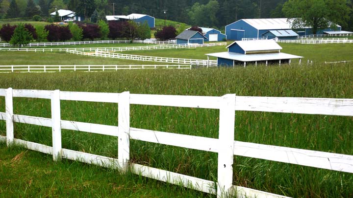 White fence horse farm