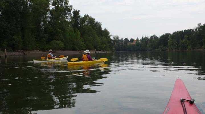 Kayaks on Holgate Channel, Willamette River, Portland Oregon