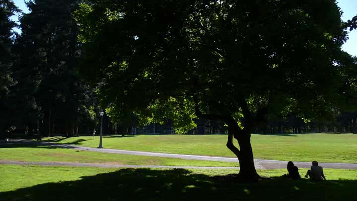 Sellwood Park, Portland Oregon