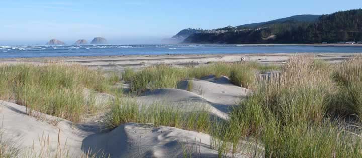 Beach dunes at Netarts, Oregon