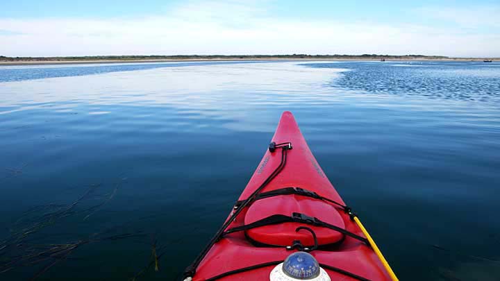 Kakak in water headed west, Netarts Bay, Oregon