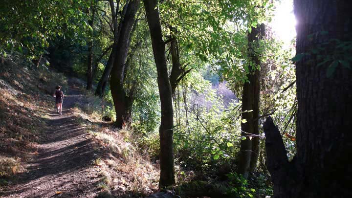 Oaks Bottom Wildlife Refuge, Portland, Oregon