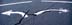 arrows
