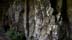 basaltwall