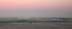 dawncrabber