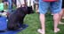 dogles114