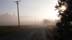 foggyrd