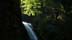 greenfalls