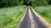 greenroad