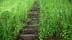 greenstairs