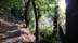oakstrail