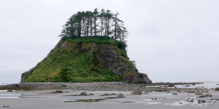 Sea stacks, some accessible at lower tides, characterize this coastline. This one is connected at low tide to Cape Avala, western most tip of lower 48 states.