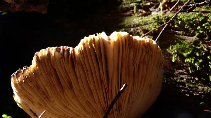 L1070876