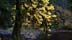L1080150