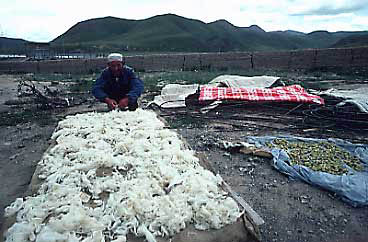06wool